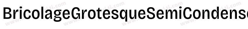 BricolageGrotesqueSemiCondensed Bol字体转换